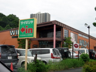 新型
