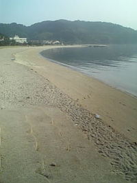 最後の海