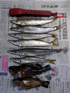 第三回引率フィッシング!!