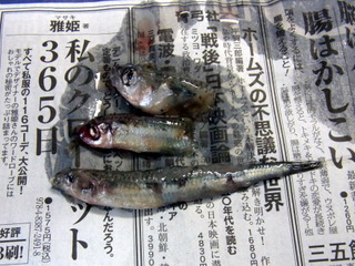 第三回引率フィッシング!!