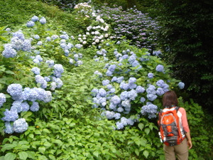 二上山にアタック