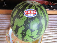 お中元　スイカ
