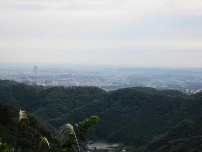 高尾山～景信山へ行って来ました！