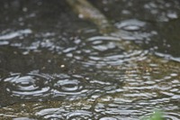 雨男 2011/10/25 19:54:00