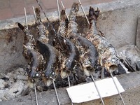 雨に降られて・・・(泣) 2011/04/24 23:26:22