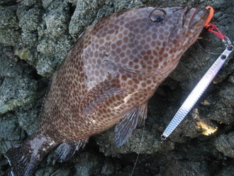 根魚週末と最高の宴