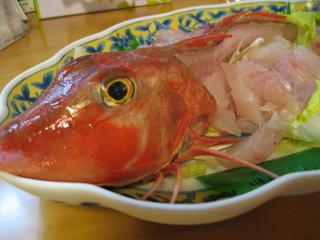 鯛ラバ釣行の結果…