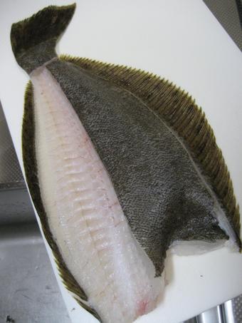 2009釣納