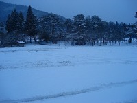 謹賀新年 2009/01/10 18:53:23