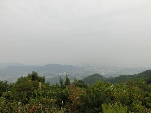 ふらっと虎ヶ岳 妙見コース