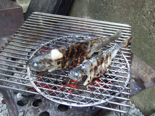 虹鱒の塩焼き