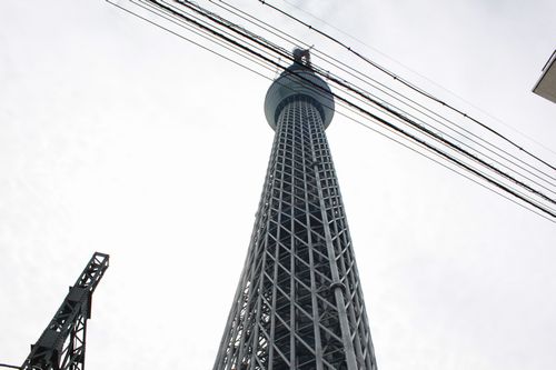 スカイツリーと浅草寺、そしてTFA