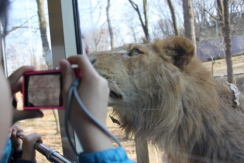 多摩動物園