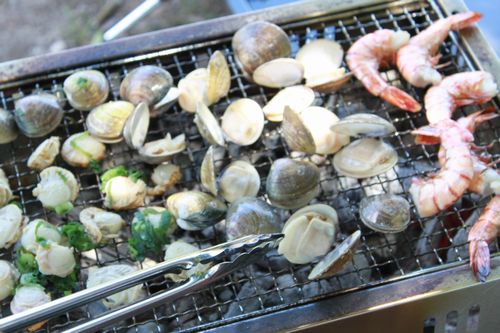 海鮮ＢＢＱとヘビ花火