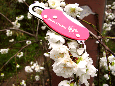 吉野の桜とリトルフィッシュホルダー