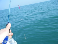 出張終了～(^^♪ 2011/04/12 21:55:13
