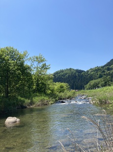 24年渓流釣行4回目