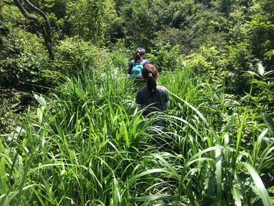 2014.07.21 ★初めての登山★ 冠岳〜浄法寺山