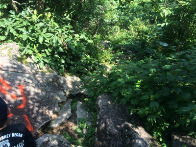 2014.07.21 ★初めての登山★ 冠岳〜浄法寺山
