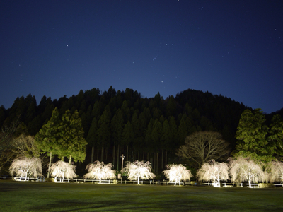 久しぶりに・・・夜の花見デイキャン　