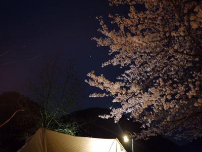 久しぶりに・・・夜の花見デイキャン　