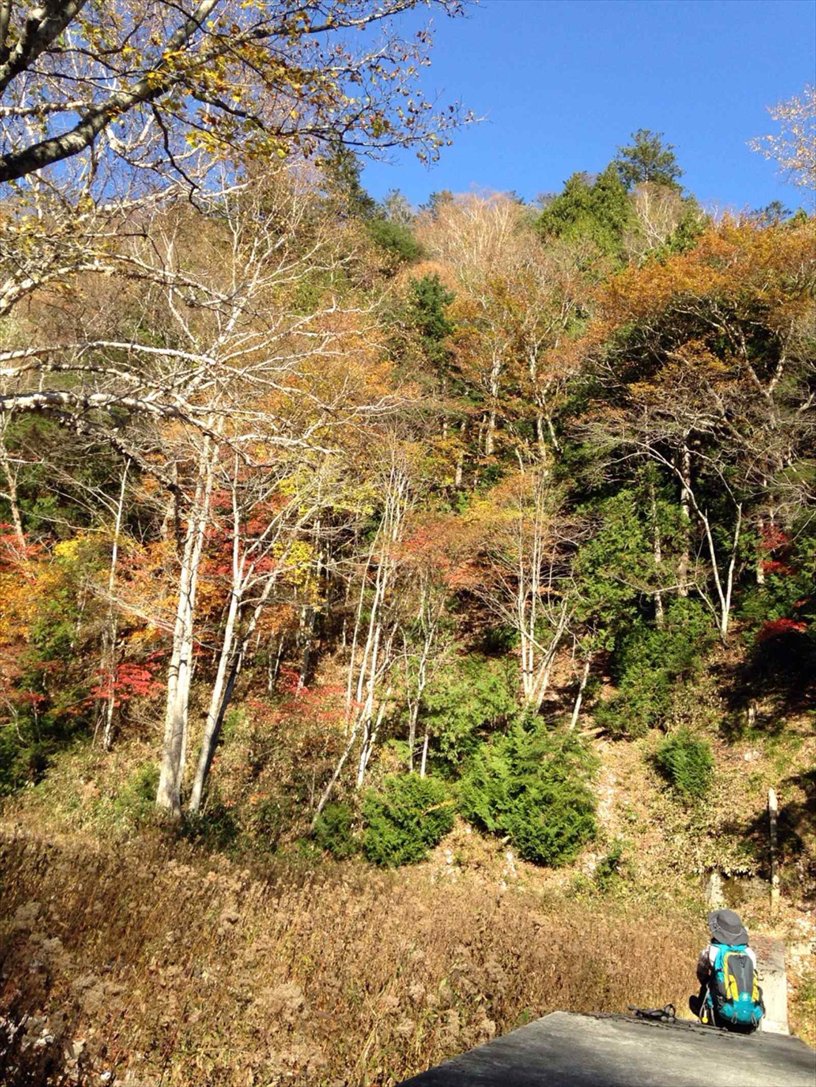 大切なもの