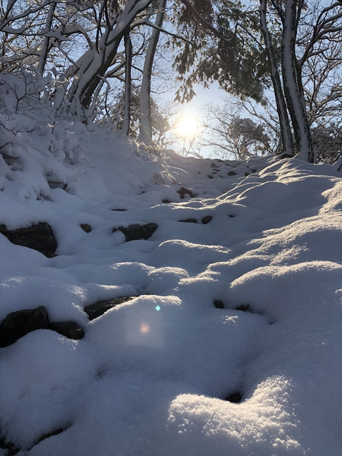 雪山歩きしてきました。