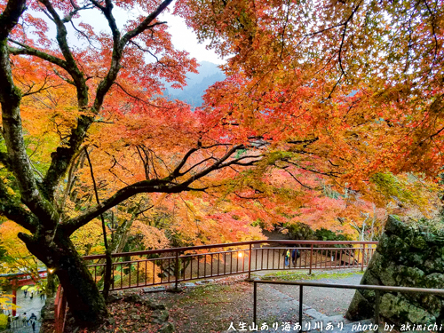 紅葉巡り ～ 奈良 談山神社