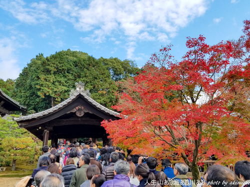 紅葉巡り納め ～ 京都 東福寺・西本願寺