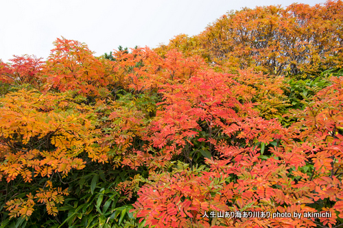 あれから３年。紅葉始めの御嶽山に登る 【前編】