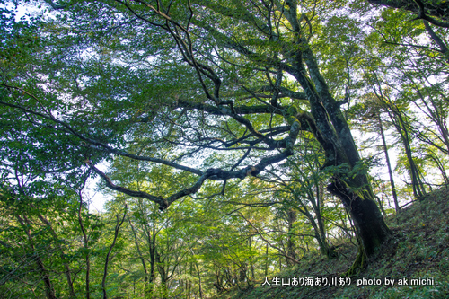 四国二大霊山の一つ剣山に登る その１～剣山登頂編