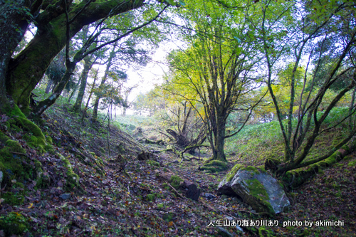 四国二大霊山の一つ剣山に登る その１～剣山登頂編