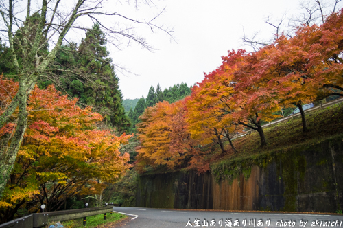 紅葉巡り ～ 奈良 談山神社