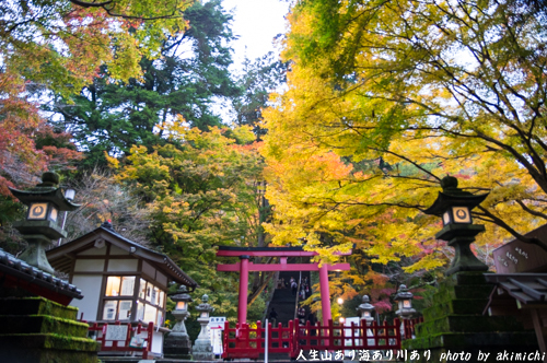 紅葉巡り ～ 奈良 談山神社