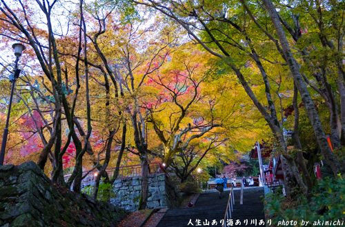 紅葉巡り ～ 奈良 談山神社