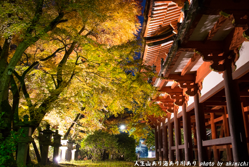 紅葉巡り ～ 奈良 談山神社