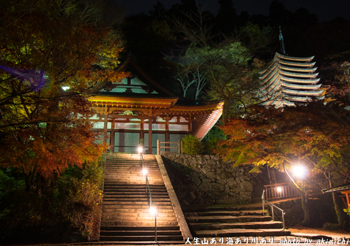 紅葉巡り ～ 奈良 談山神社