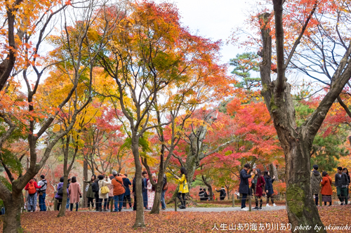 紅葉巡り納め ～ 京都 東福寺・西本願寺