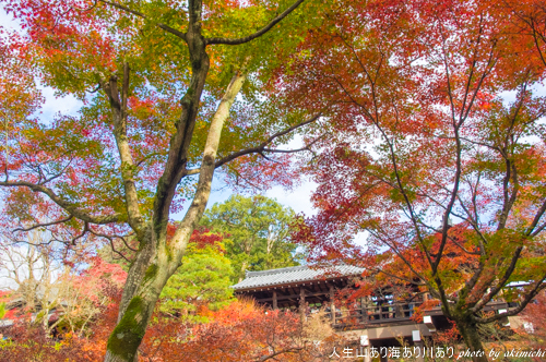 紅葉巡り納め ～ 京都 東福寺・西本願寺