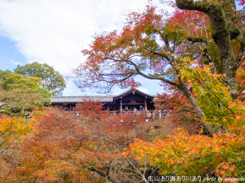 紅葉巡り納め ～ 京都 東福寺・西本願寺