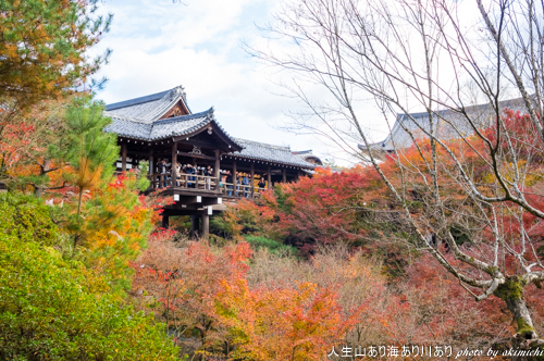 紅葉巡り納め ～ 京都 東福寺・西本願寺