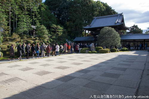 紅葉巡り納め ～ 京都 東福寺・西本願寺