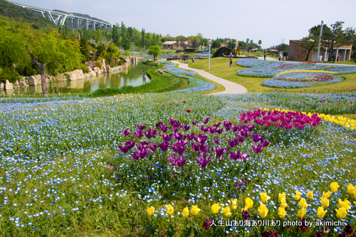 花の島 あわじ島 花へんろ～国営明石海峡公園