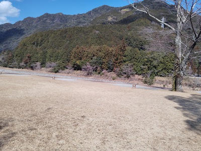 この時期恒例、今年も「キャンプイン海山」へ行って来ました　＜一日目＞