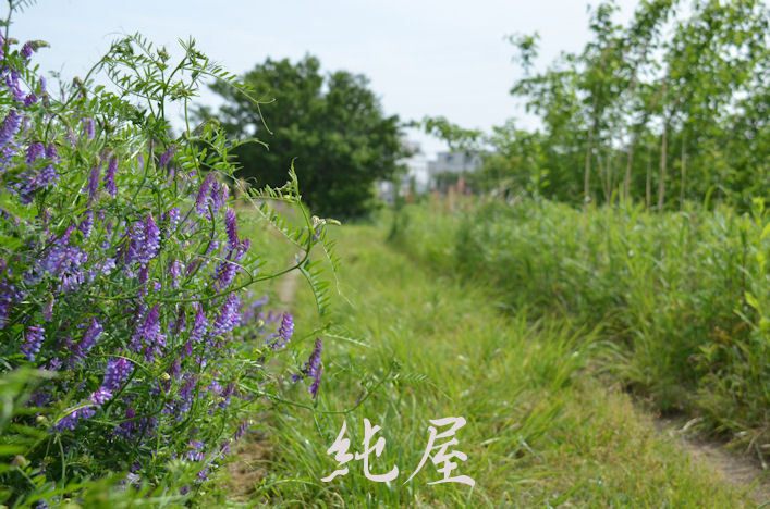 ぶらりカム探索