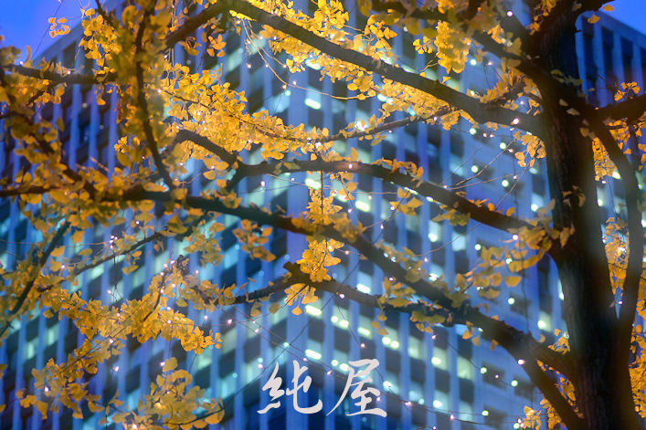 １２月の街