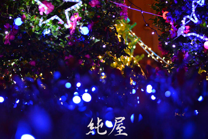 Xmas