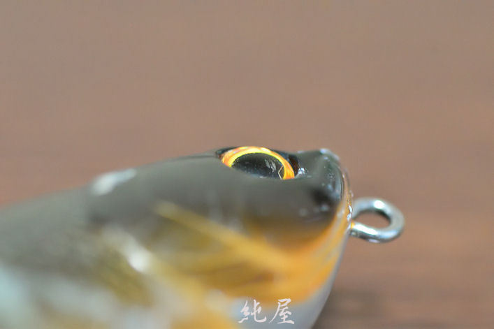 ライヴワイア
