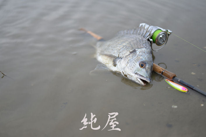 派手・小