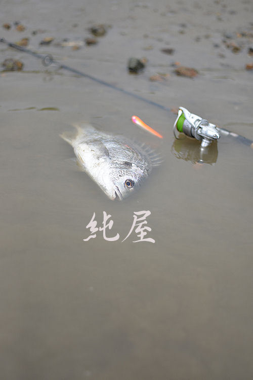 派手・大